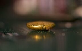 اسفنج از زباله طلا می‌گیرد