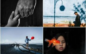 گزارش تصویری| برندگان مسابقه‌ی عکاسی موبایل شیائومی ۲۰۲۴