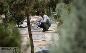تهران در آستانه احداث سه آرامستان جدید؛ هشدار درباره بحران دفن اموات