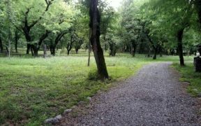 تلاش برای بازگشت حق‌آبه بوستان سرخه حصار از سد لتیان؛ کاشت ۳۳ هزار درخت در دستور کار