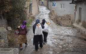کدام استان‌ها بالاترین میزان پرداخت تسهیلات مسکن روستایی داشتند؟