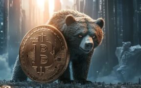 ویلی وو: بازار خرسی بیت کوین در حال تقویت است