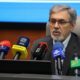 رایزنی با کشورهای بریکس برای تقویت همکاری‌های دارویی