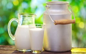 ناگفته‌هایی از ماندگاری شیرهای پاکتی؛ هشدار متخصص تغذیه