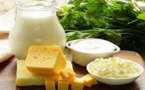 نگاه طب ایرانی به اثرات درمانی پروبیوتیک‌ها