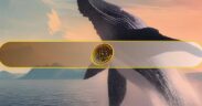 نهنگ‌های بیت کوین همچنان خریدارند؛ انباشت بیش از ۱ میلیون BTC در دو ماه