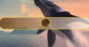 یک نهنگ خفته ۳۸۰ میلیون دلار بیت کوین را منتقل کرد